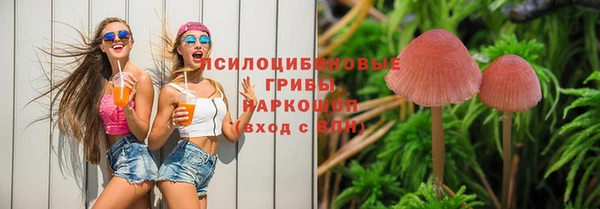 героин Алзамай