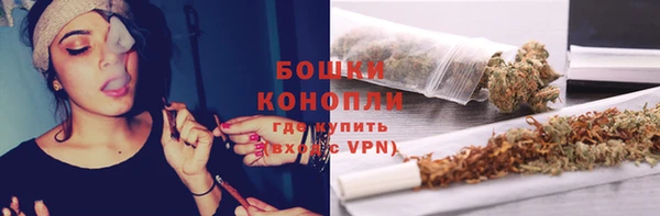 хмурый Абаза
