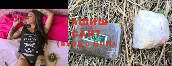 хмурый Абаза