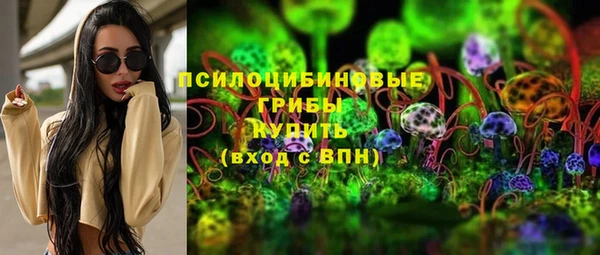 герыч Алексин