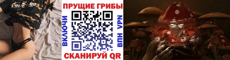 kraken ТОР  Томилино  Галлюциногенные грибы Cubensis 